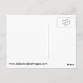 Drei Donkey Postkarte (Rückseite)