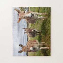 Drei Donkey Puzzle