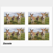 Drei Donkey Rechteckiger Aufkleber (Blatt)