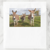 Drei Donkey Rechteckiger Aufkleber (Tasche)