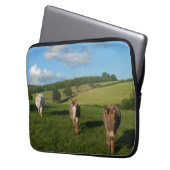 Drei Donkeys auf einem Feldfoto Laptopschutzhülle (Vorderseite Links)