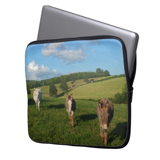 Drei Donkeys auf einem Feldfoto Laptopschutzhülle (Vorderseite Links)