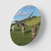 Drei Donkeys auf einem Feldfoto Runde Wanduhr (Winkel)