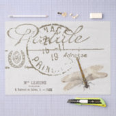 Drei Drachenfliege französisches Postale Entdeckun Seidenpapier (Handwerk)