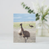 drei ECU Postkarte (Stehend Vorderseite)