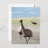 drei ECU Postkarte (Vorne/Hinten)