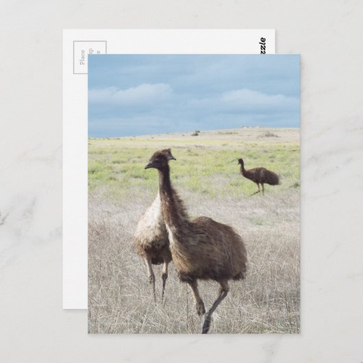 drei ECU Postkarte (Vorne/Hinten)