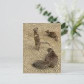 Drei Eichhörnchen Einladungspostkarte (Stehend Vorderseite)