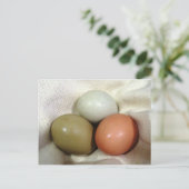 Drei Eier... Postkarte (Stehend Vorderseite)