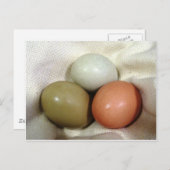 Drei Eier... Postkarte (Vorne/Hinten)