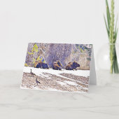 Drei Elche, notecard (Vorderseite)