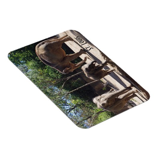 Drei Elefanten Magnet (Rechte Seite)