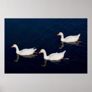 Drei Emden Ges Poster