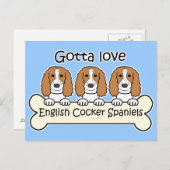Drei englische Cocker-Spaniels Postkarte (Vorne/Hinten)