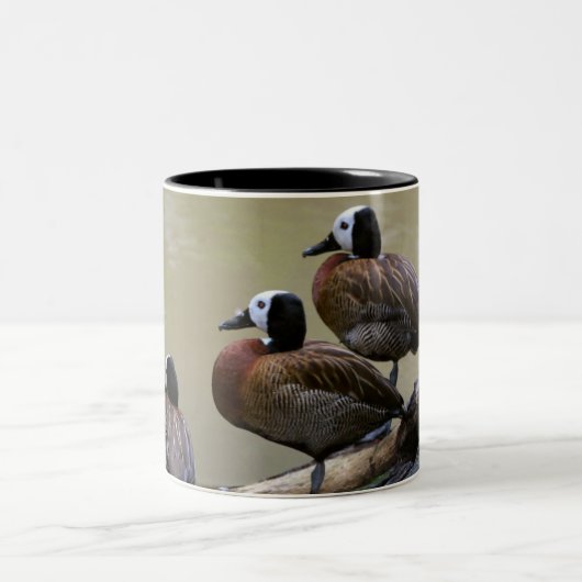 Drei Enten auf einer Klotz-Tasse Zweifarbige Tasse (Mittel)