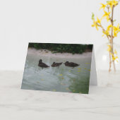 "Drei Enten" Danke Karte (Gelbe Blume)