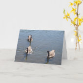 Drei Enten schwimmen Karte (Gelbe Blume)