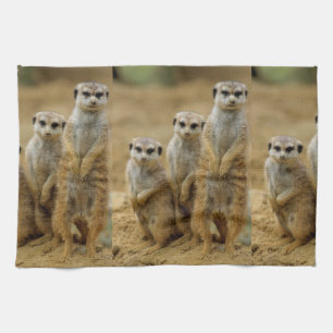 drei Erdmaennchen (Suricata suricatta) Handtuch