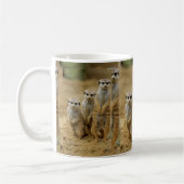 drei Erdmaennchen (Suricata suricatta) Kaffeetasse (Links)