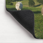 Drei Esel auf einem Feld Foto Mousepad (Ecke)