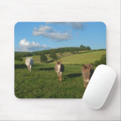 Drei Esel auf einem Feld Foto Mousepad (Mit Mouse)