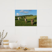 Drei Esel auf einem Feld Foto Poster (Küche)