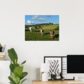 Drei Esel auf einem Feld Foto Poster (Heimbüro)