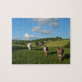 Drei Esel auf einem Gebiet Puzzle