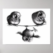 Drei Eulen Freiheit und Spass Poster (Vorne)