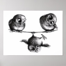 Drei Eulen Freiheit und Spass