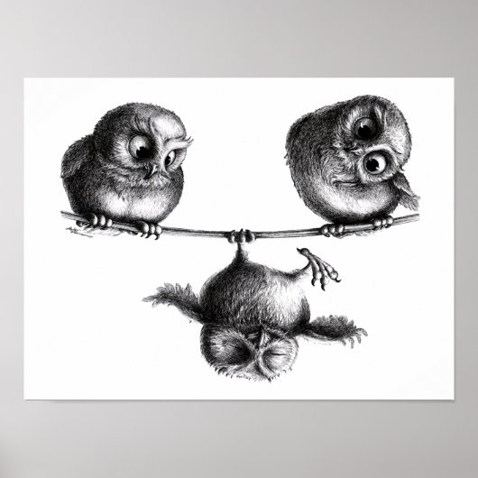 Drei Eulen Freiheit und Spass Poster (Vorne)