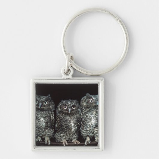 drei Eulen Schlüsselanhänger (Vorne)