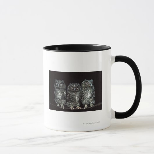 drei Eulen Tasse (Rechts)