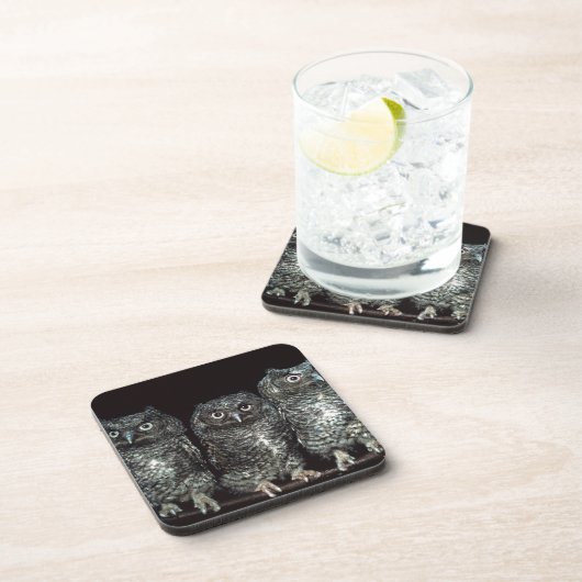 drei Eulen Untersetzer (Rechte Seite)