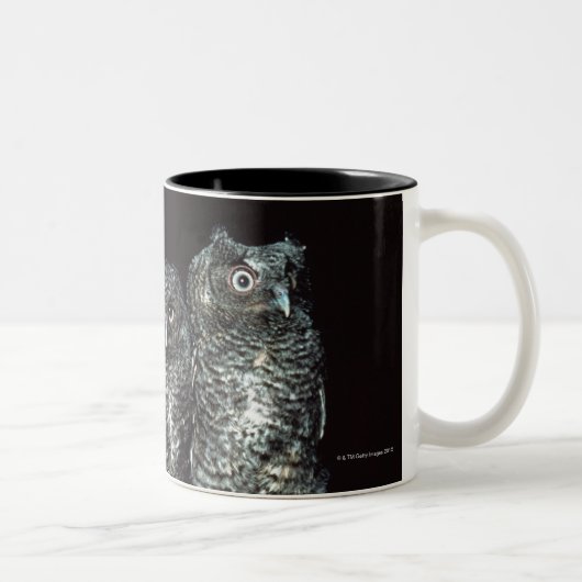 drei Eulen Zweifarbige Tasse (Rechts)