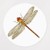 Drei Farben Dragonfly Sticker (Design 2)