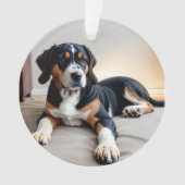 Drei-Farben-Hundeporträt Ornament (Vorderseite)
