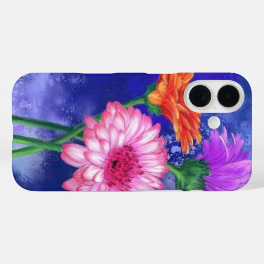 Drei farbige Gerberas iPhone Case (Rückseite (Horizontal))