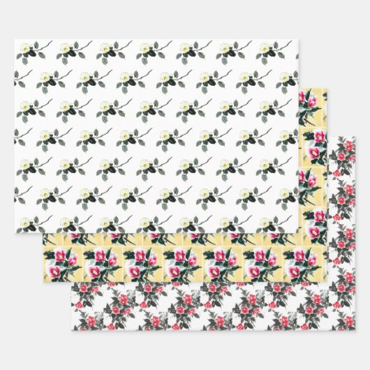 Drei farbige Kamelien-Saummalerei Geschenkpapier Set (Set)