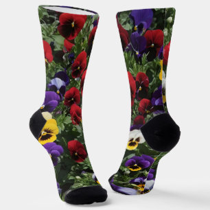 Drei farbige Stiefmütterchen: Eine Symphonie von F Socken