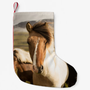 DREI FARBPFERDE, DIE VON EINEM MO ENTFERNT SIND KLEINER WEIHNACHTSSTRUMPF