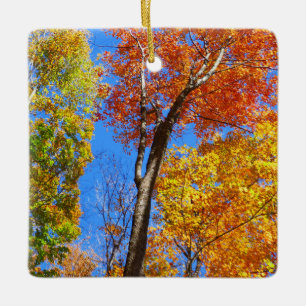 Drei Farbschattierungen von bunten Herbst-Ahornbäu Keramikornament