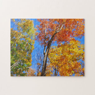 Drei Farbschattierungen von bunten Herbst-Ahornbäu Puzzle