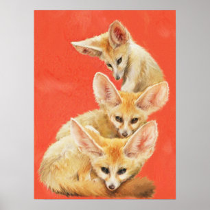 Drei Fennec Fox Kits Poster