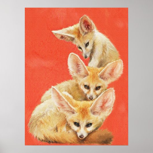 Drei Fennec Fox Kits Poster (Vorne)