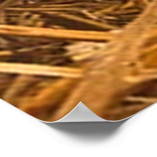 drei Ferkel Poster (Ecke)