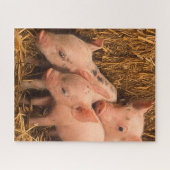 drei Ferkel Puzzle (Horizontal)