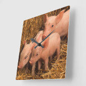 drei Ferkel Quadratische Wanduhr (Winkel)