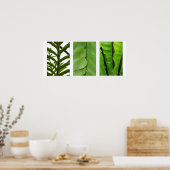 Drei Ferns Poster (Küche)