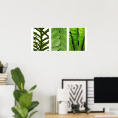 Drei Ferns Poster (Heimbüro)